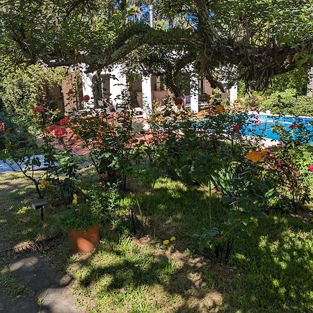 Casa Pura Vida Hotell Punta Ballena Eksteriør bilde